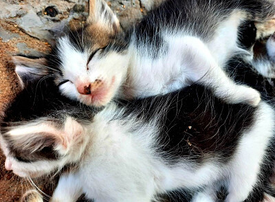 a jigsaw puzzle