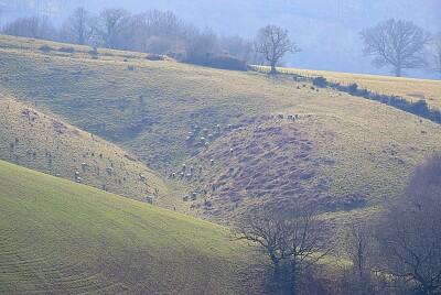 פאזל של Pays Basque et ses collines