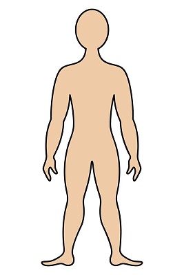 cuerpo humano