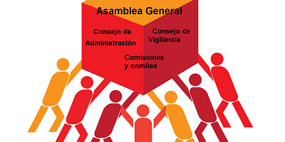 Organiza a tu cooperativa