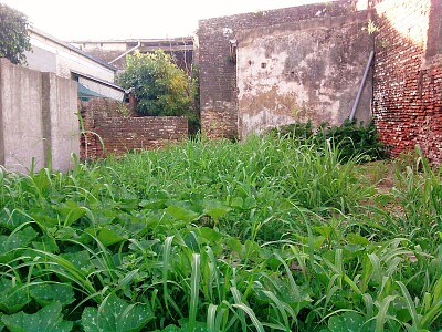 Casa Abandonada 1