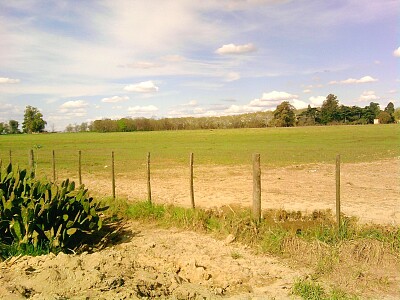 פאזל של Campo y Paisaje