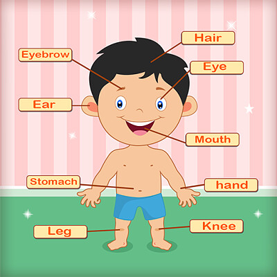 Parts of the body jigsaw puzzle