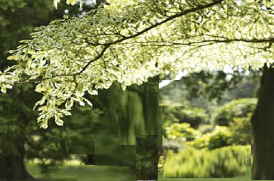 a jigsaw puzzle