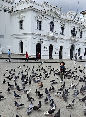 Mathy en Popayán