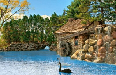 a jigsaw puzzle