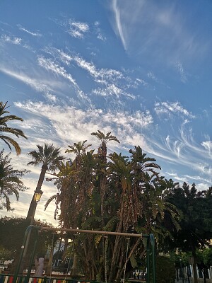 amanecer