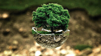 a jigsaw puzzle