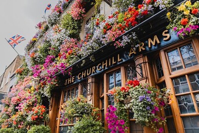 Churchill Arms flower display