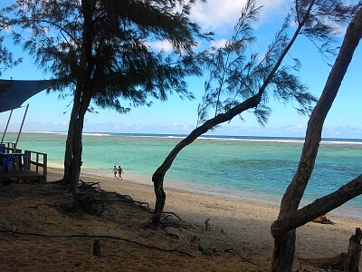 פאזל של la réunion plage