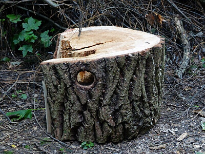 a jigsaw puzzle