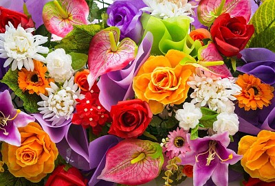 Fleurs de toutes les couleurs