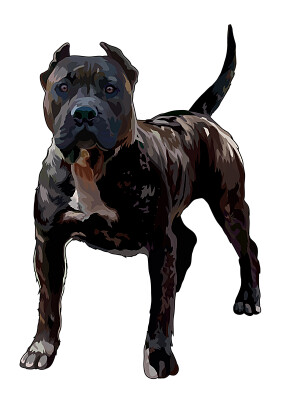 פאזל של PRESA CANARIO