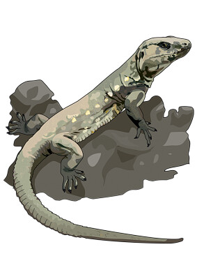 LAGARTO GIGANTE DEL HIERRO jigsaw puzzle