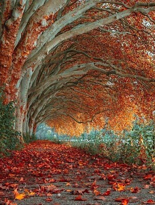 Otoño