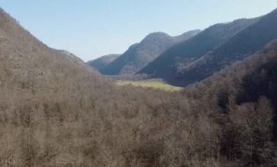 Les Forêts d 'Iraty et des Arbailles