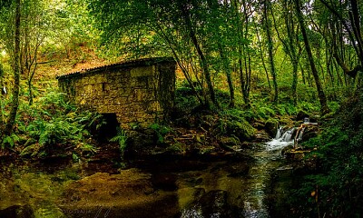 Galicia