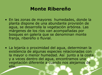 rompecabezas monte 1