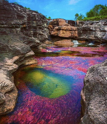 CAÑO CRISTALES :)