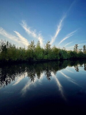 Reflejo