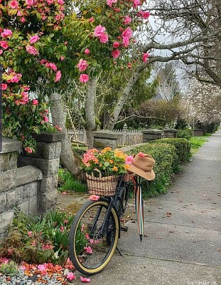 bicicleta jigsaw puzzle