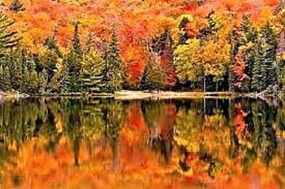 autumn #288 jigsaw puzzle