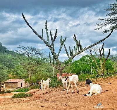 imagem jigsaw puzzle