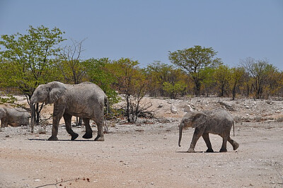 Imagem jigsaw puzzle