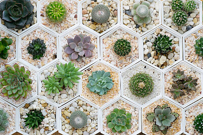 a jigsaw puzzle
