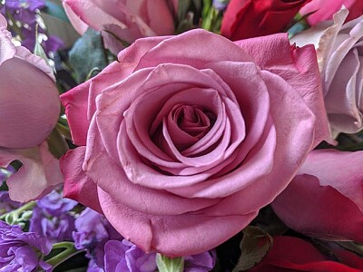פאזל של flor rosa