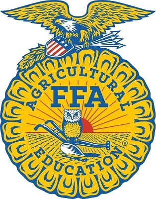 פאזל של FFA Emblem