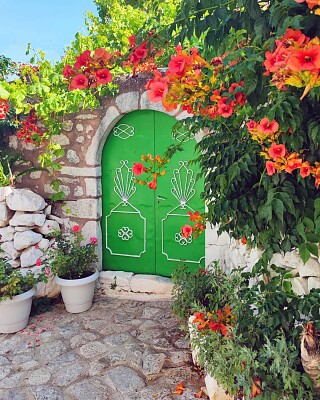 Puerta y flores