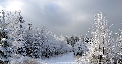 SNOW jigsaw puzzle