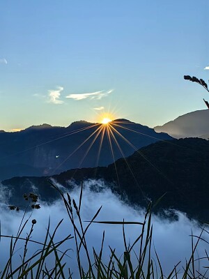 פאזל של 阿里山日出