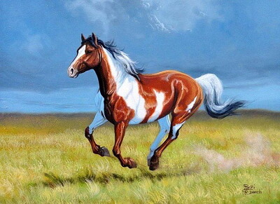 Caballo jigsaw puzzle