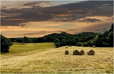 Campagne Basque près d 'Arcangues