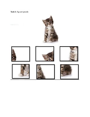 CAT PUZZLE