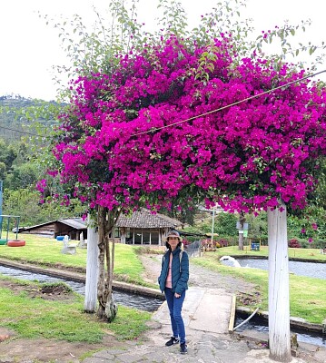 Disfrutando la naturaleza