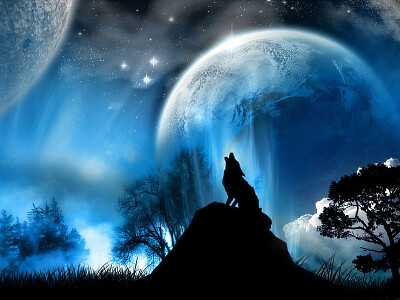 howling wolf