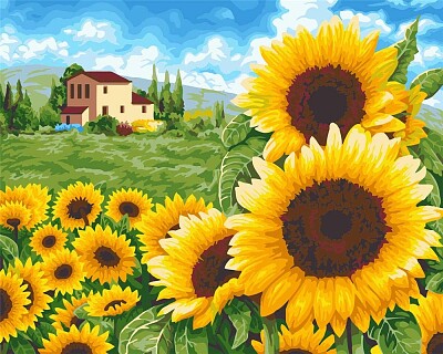 Girasoles