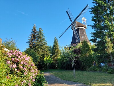 Windmühle Stapelmoor jigsaw puzzle