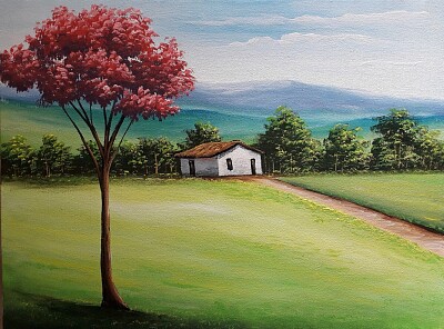 Casa campo