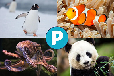 Animales que empiezan pa, pe, pi, po jigsaw puzzle