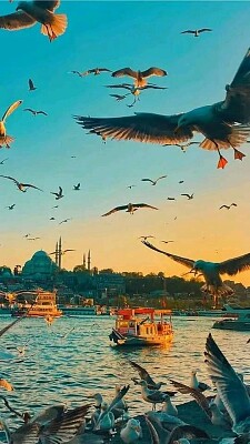 Estambul jigsaw puzzle