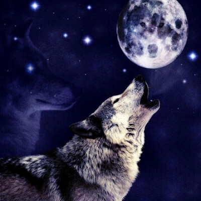 Loup hurlant à la lune jigsaw puzzle