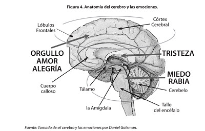 EDUCACIÓN EMOCIONAL: jigsaw puzzle