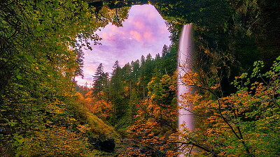 silver falls 1