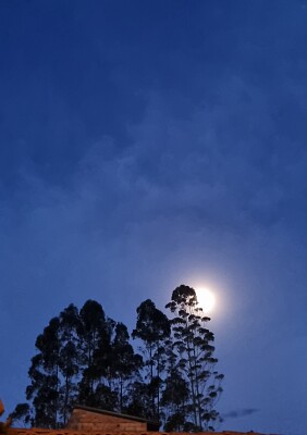 פאזל של Que linda que está la luna...