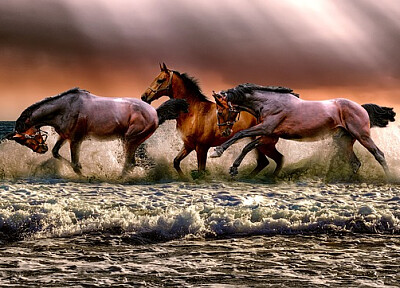 a jigsaw puzzle