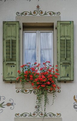 פאזל של flores